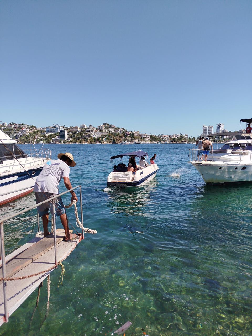 Vida marina